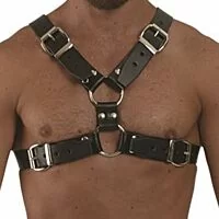 Leather Y Harness, Leather Chest Harness
